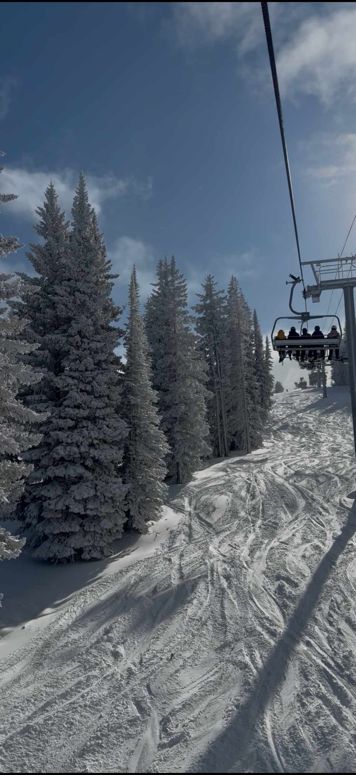 Pistas de ski con pinos nevados